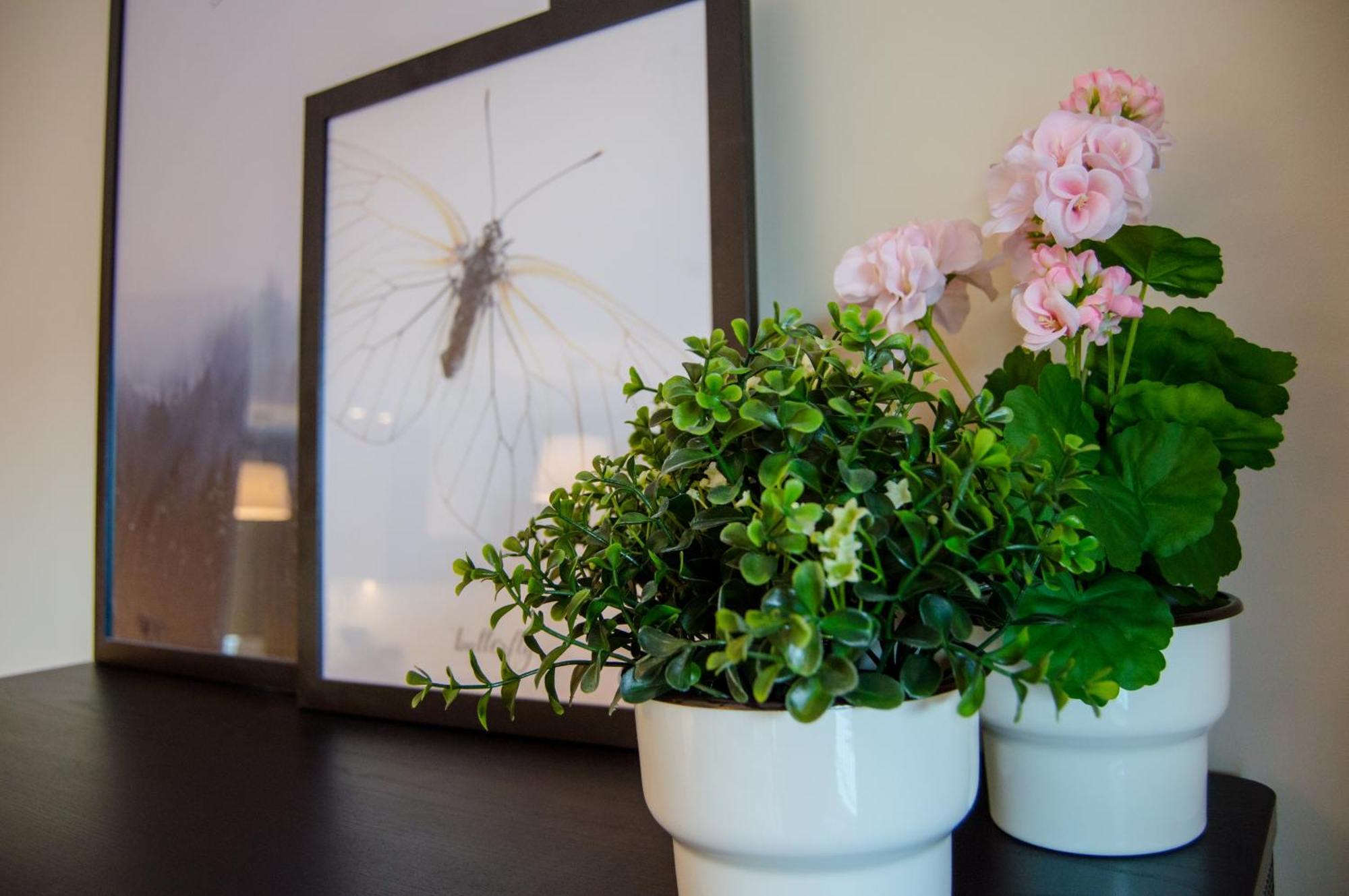 Grand Apartments - Apartments Spa Waterlane Island غدانسك المظهر الخارجي الصورة